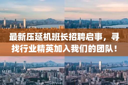 冷柠兮 第17页