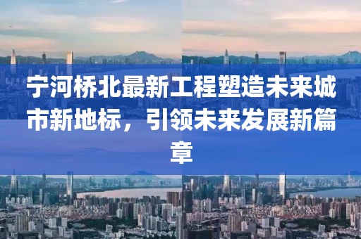 宁河桥北最新工程塑造未来城市新地标，引领未来发展新篇章