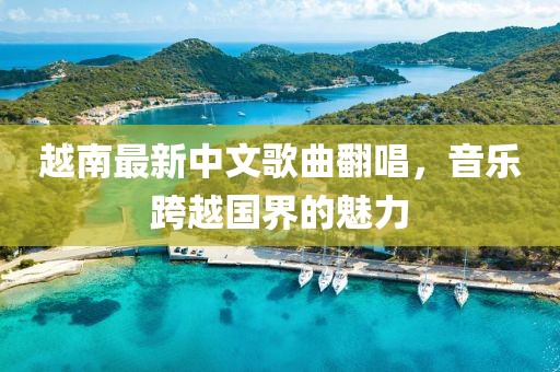 越南最新中文歌曲翻唱，音乐跨越国界的魅力
