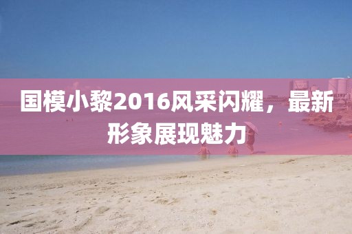 国模小黎2016风采闪耀，最新形象展现魅力