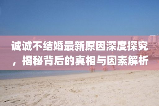 诚诚不结婚最新原因深度探究，揭秘背后的真相与因素解析