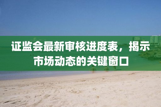 证监会最新审核进度表，揭示市场动态的关键窗口