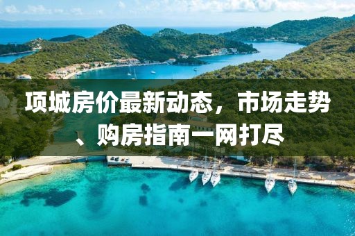项城房价最新动态，市场走势、购房指南一网打尽