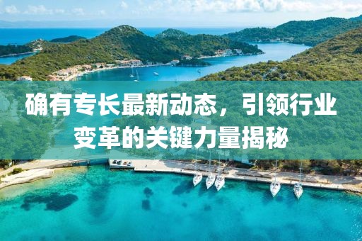 确有专长最新动态，引领行业变革的关键力量揭秘