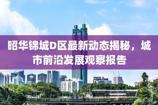 昭华锦城D区最新动态揭秘，城市前沿发展观察报告