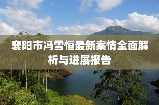 襄阳市冯雪恒最新案情全面解析与进展报告