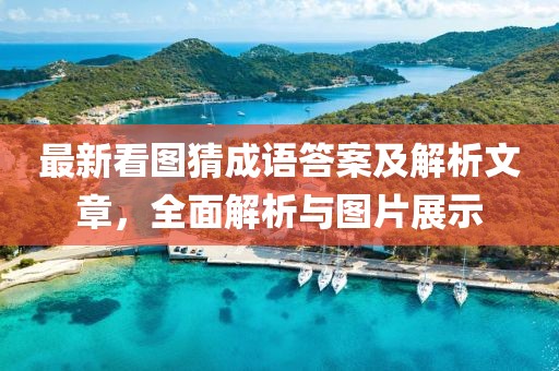 最新看图猜成语答案及解析文章，全面解析与图片展示
