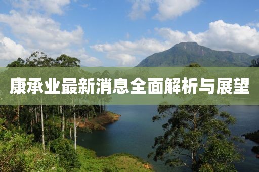 康承业最新消息全面解析与展望