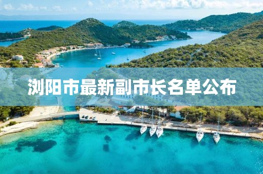 浏阳市最新副市长名单公布
