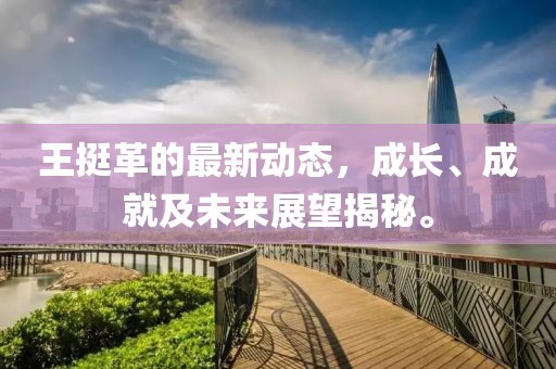 王挺革的最新动态，成长、成就及未来展望揭秘。