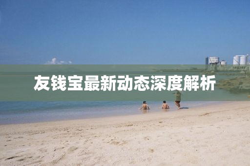 友钱宝最新动态深度解析