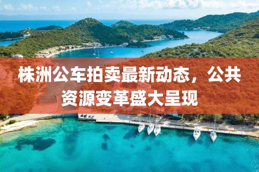 株洲公车拍卖最新动态，公共资源变革盛大呈现