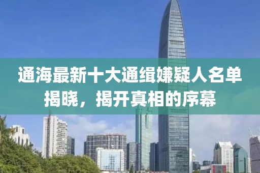 通海最新十大通缉嫌疑人名单揭晓，揭开真相的序幕
