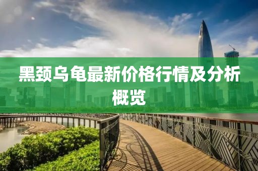 黑颈乌龟最新价格行情及分析概览
