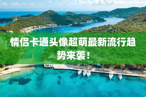 情侣卡通头像超萌最新流行趋势来袭！
