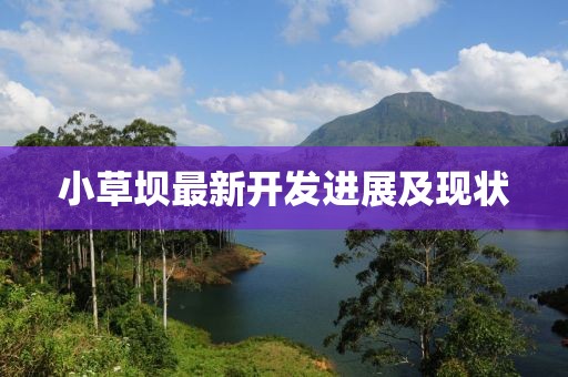 小草坝最新开发进展及现状