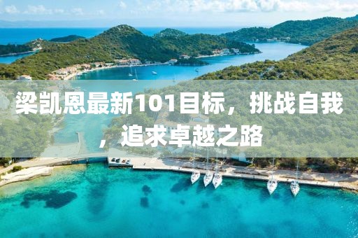 梁凯恩最新101目标，挑战自我，追求卓越之路