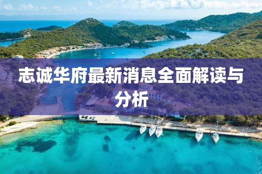 志诚华府最新消息全面解读与分析