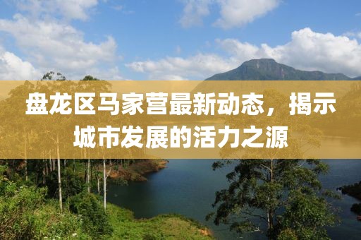 盘龙区马家营最新动态，揭示城市发展的活力之源