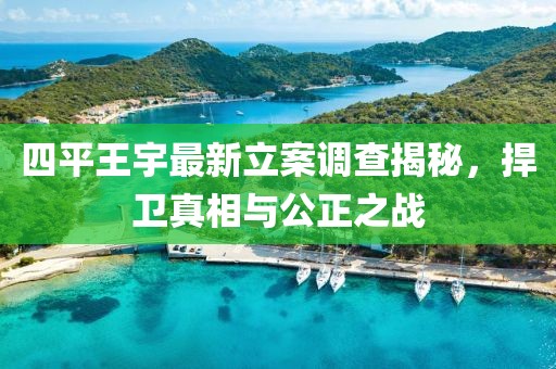 四平王宇最新立案调查揭秘，捍卫真相与公正之战