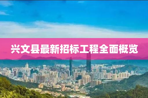 兴文县最新招标工程全面概览