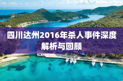 四川达州2016年杀人事件深度解析与回顾