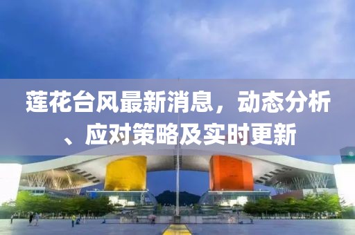 莲花台风最新消息，动态分析、应对策略及实时更新