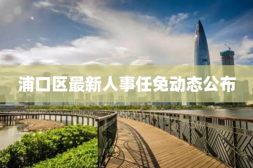 浦口区最新人事任免动态公布
