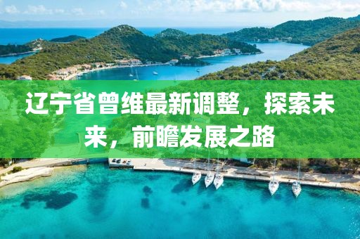辽宁省曾维最新调整，探索未来，前瞻发展之路