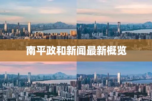 南平政和新闻最新概览