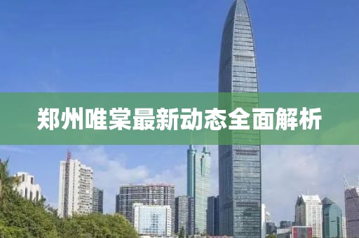 郑州唯棠最新动态全面解析