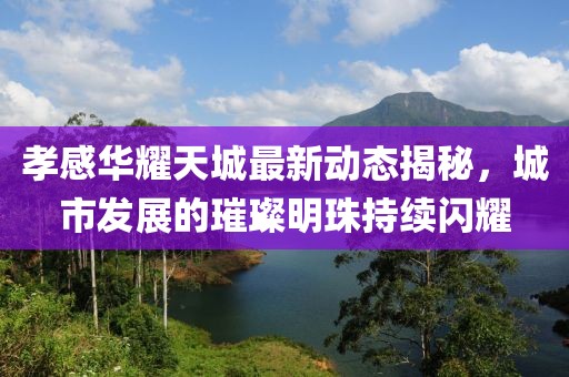 孝感华耀天城最新动态揭秘，城市发展的璀璨明珠持续闪耀