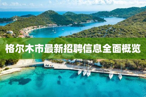 格尔木市最新招聘信息全面概览