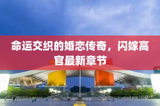 命运交织的婚恋传奇，闪嫁高官最新章节