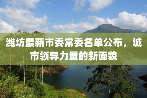 潍坊最新市委常委名单公布，城市领导力量的新面貌