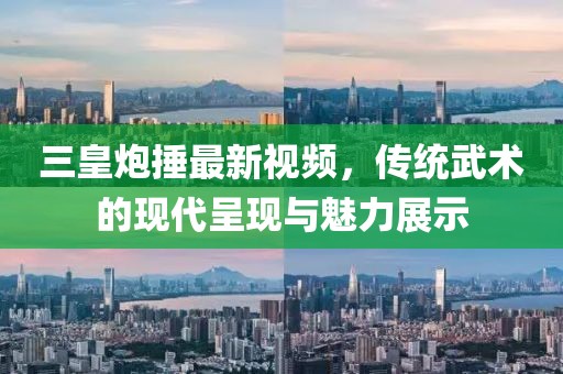 三皇炮捶最新视频，传统武术的现代呈现与魅力展示