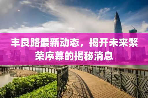 丰良路最新动态，揭开未来繁荣序幕的揭秘消息