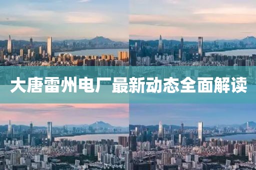 大唐雷州电厂最新动态全面解读