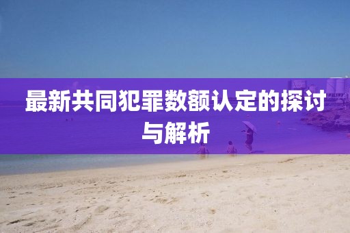 最新共同犯罪数额认定的探讨与解析