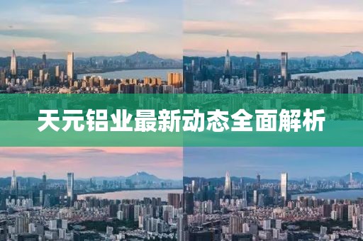 天元铝业最新动态全面解析