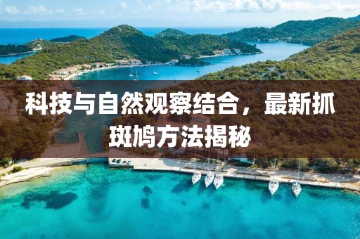 科技与自然观察结合，最新抓斑鸠方法揭秘