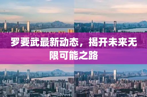 罗要武最新动态，揭开未来无限可能之路