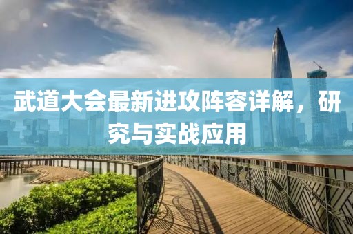 武道大会最新进攻阵容详解，研究与实战应用