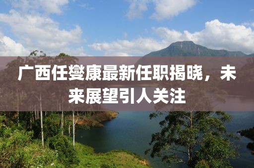 广西任燮康最新任职揭晓，未来展望引人关注