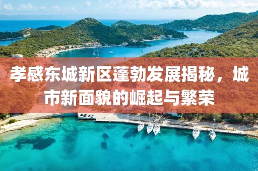 孝感东城新区蓬勃发展揭秘，城市新面貌的崛起与繁荣