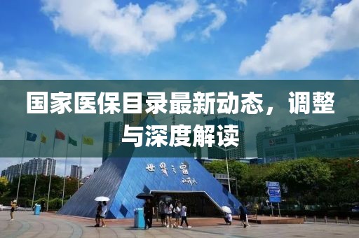 国家医保目录最新动态，调整与深度解读