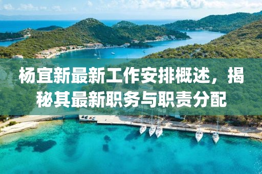 杨宜新最新工作安排概述，揭秘其最新职务与职责分配