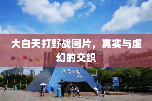 大白天打野战图片，真实与虚幻的交织