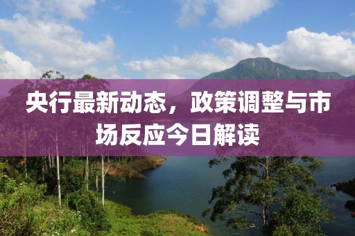 央行最新动态，政策调整与市场反应今日解读