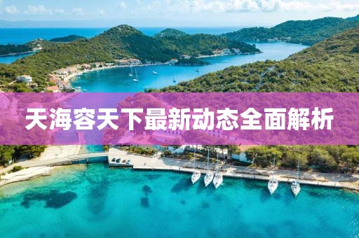 天海容天下最新动态全面解析